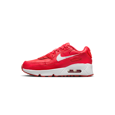 Nike Air Max 90 LTR