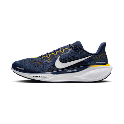 Michigan Pegasus 41