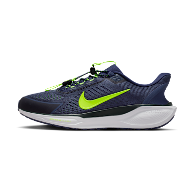 Nike Pegasus EasyOn