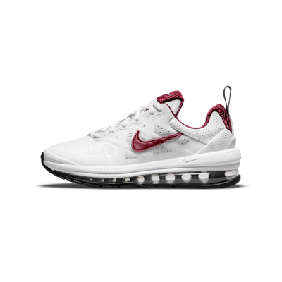 Nike Air Max Genome