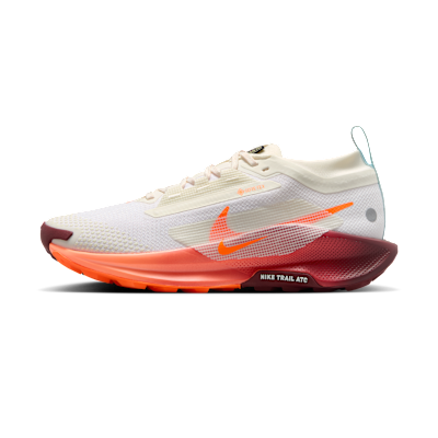 Nike Pegasus Trail 5 GORE-TEX