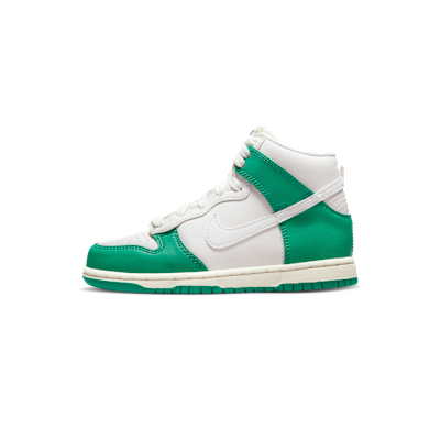 Nike Dunk High