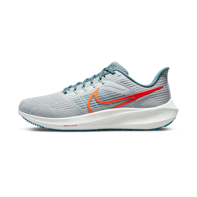 Nike Pegasus 39