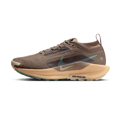 Nike Pegasus Trail 5 GORE-TEX