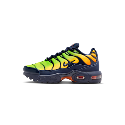 Nike Air Max Plus