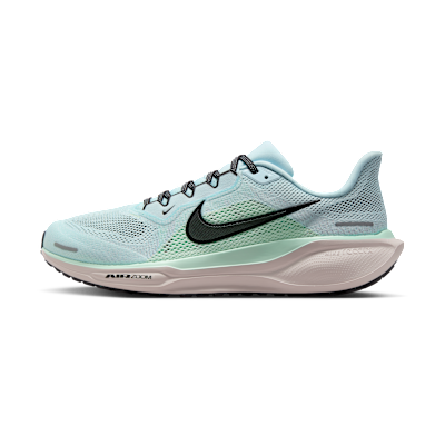 Nike Pegasus 41
