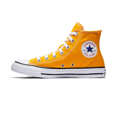 Converse Chuck Taylor All Star Seasonal