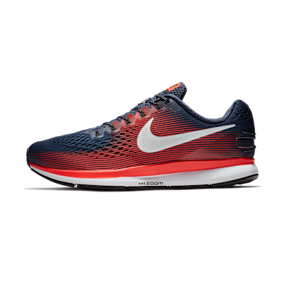 Nike Air Zoom Pegasus 34 FlyEase