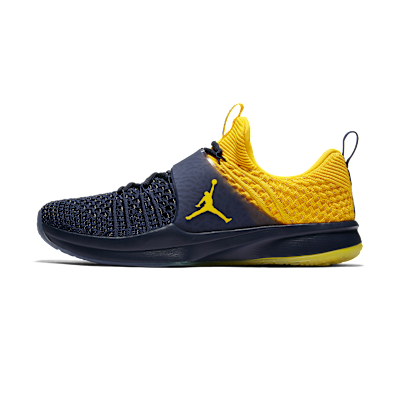Air Jordan Trainer 2 Flyknit
