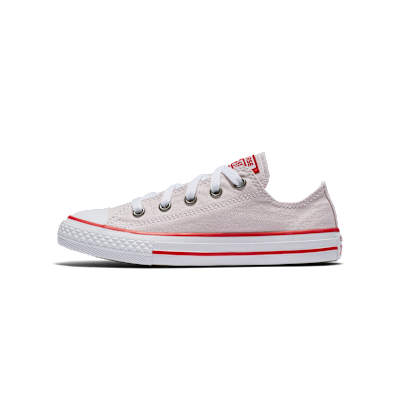Converse Chuck Taylor All Star Seasonal Low Top