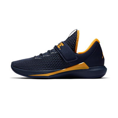 Jordan Trainer 3 (Michigan)