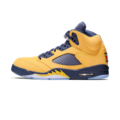 Air Jordan 5 Retro SE