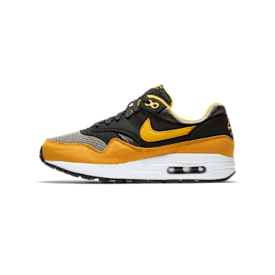 Nike Air Max 1