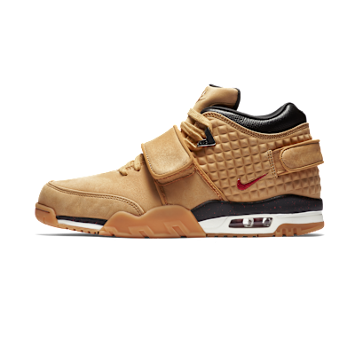 AIR TRAINER V. CRUZ