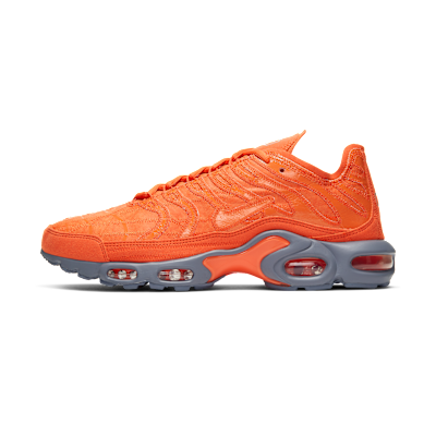 Nike Air Max Plus Deconstructed
