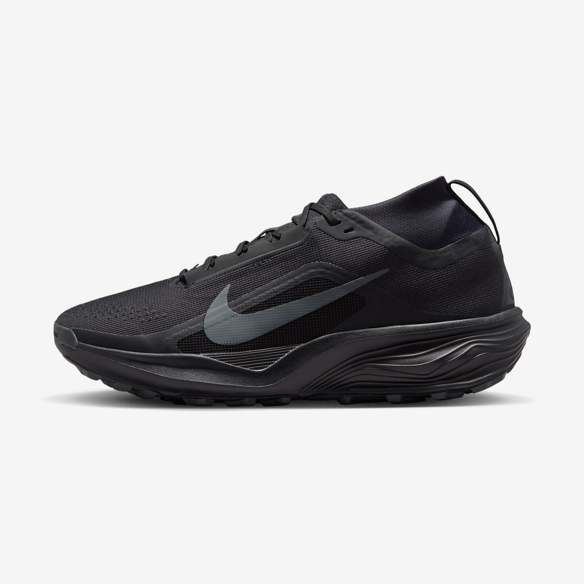 Nike ACG Pegasus Trail Gore-Tex "Black & Anthracite" Black/Anthracite/Summit White