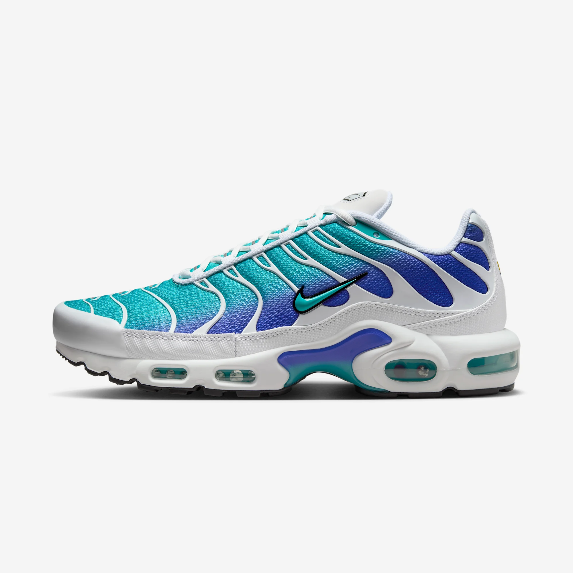 Nike Air Max Plus “Dusty Cactus” 2024 White/Dusty Cactus/Persian Violet/Black