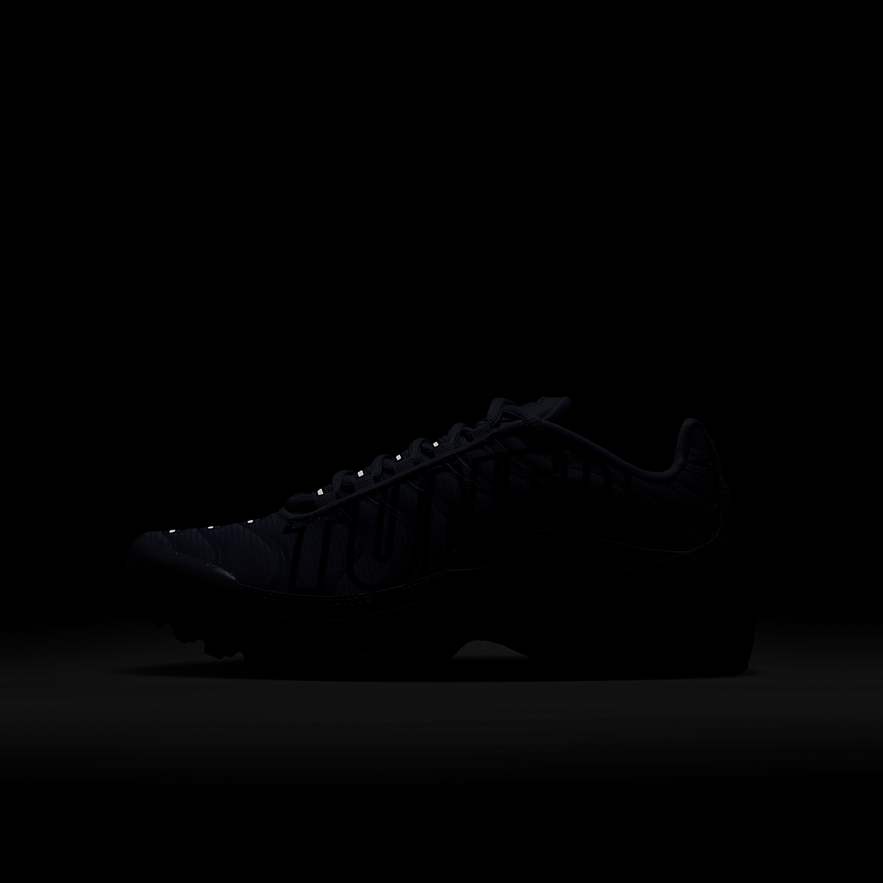 Nike Air Max Plus sneaker Wolf Grey/Metallic Silver/Zwart