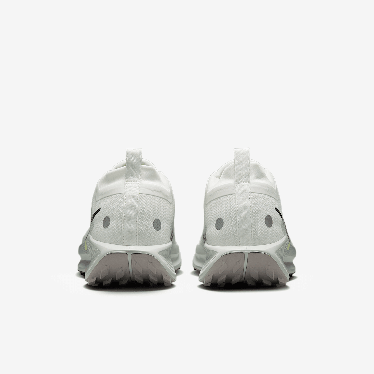 Nike Pegasus sneaker Summit White/Light Silver/College Grey/Sequoia