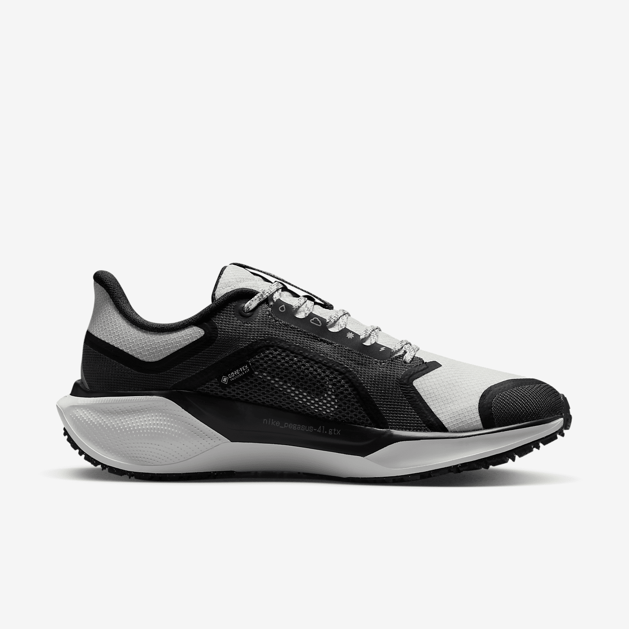 Nike Pegasus sneaker Zwart/Anthracite/Iron Grey/Summit White