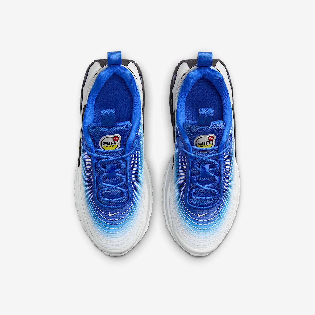 Nike Air Max DN sneaker Racer Blue/Blue Fury/Zwart/Vibrant Yellow