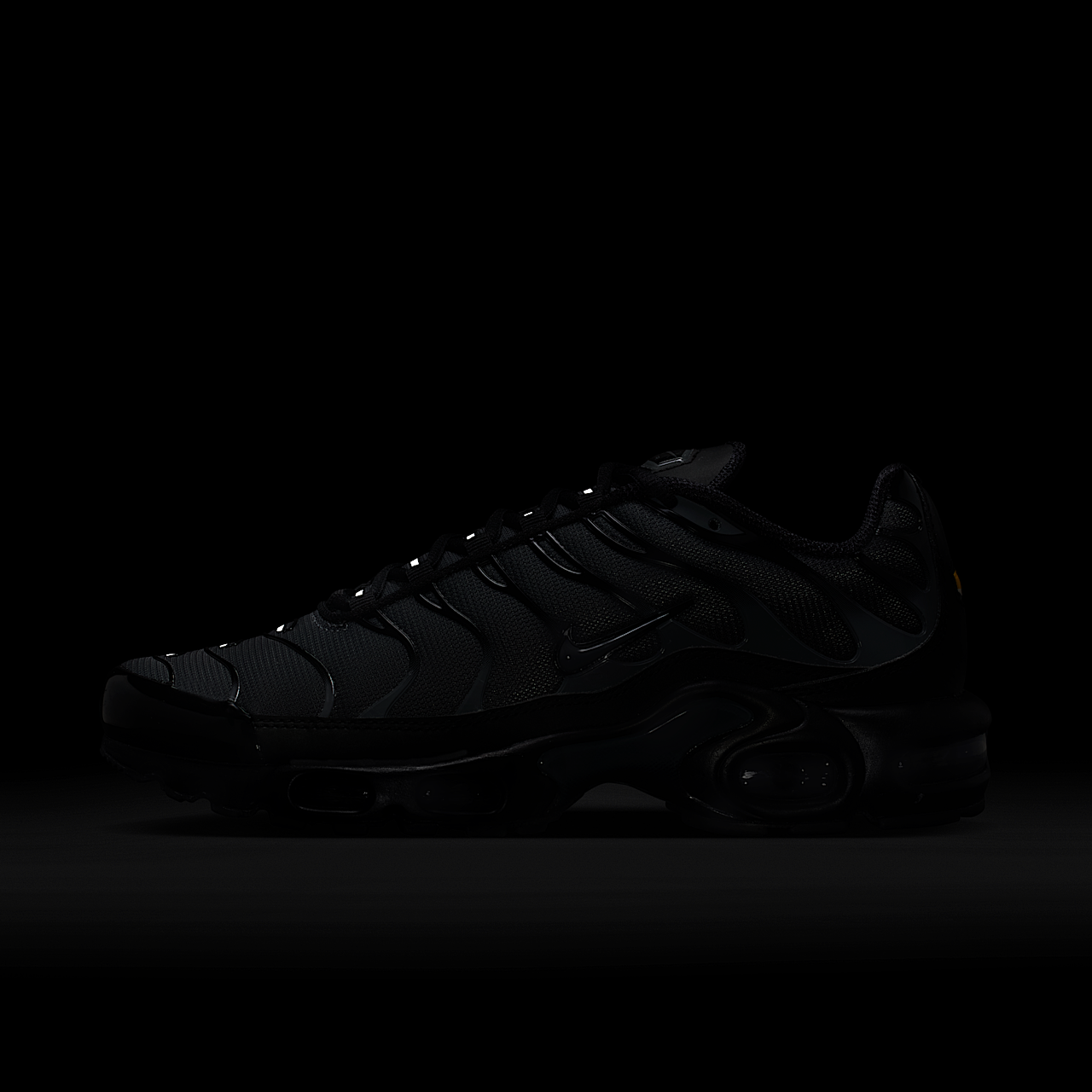 Nike Air Max Plus sneaker Zwart/Metallic Silver/Dark Grey