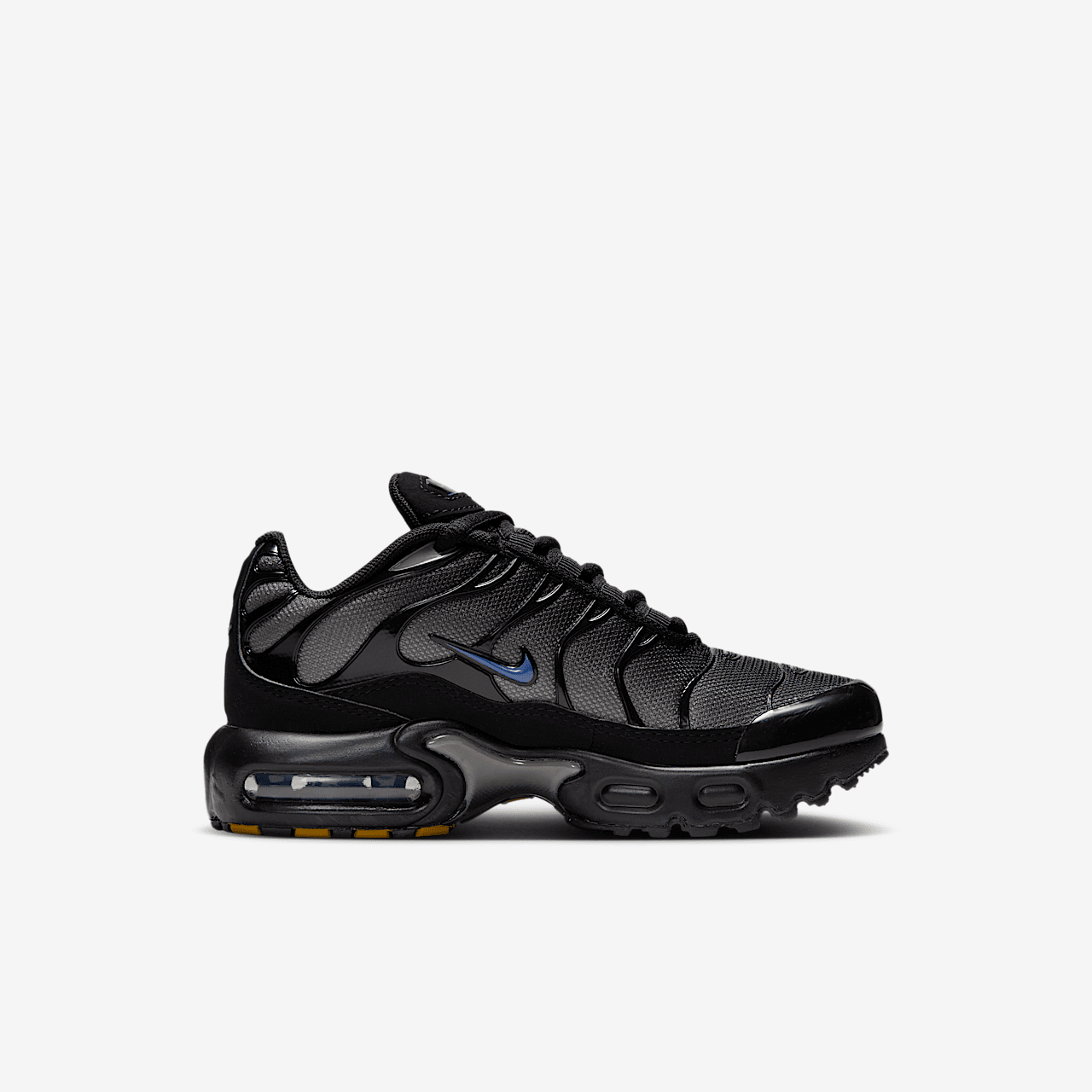 Nike Air Max Plus sneaker Zwart/Cave Stone/Diffused Blue
