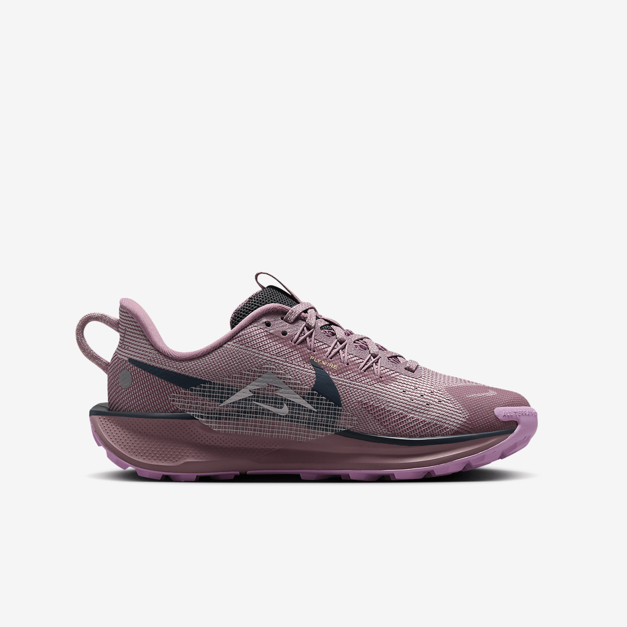 Nike Pegasus sneaker Plum Dust/Platinum Violet/Beyond Pink/Metallic Silver