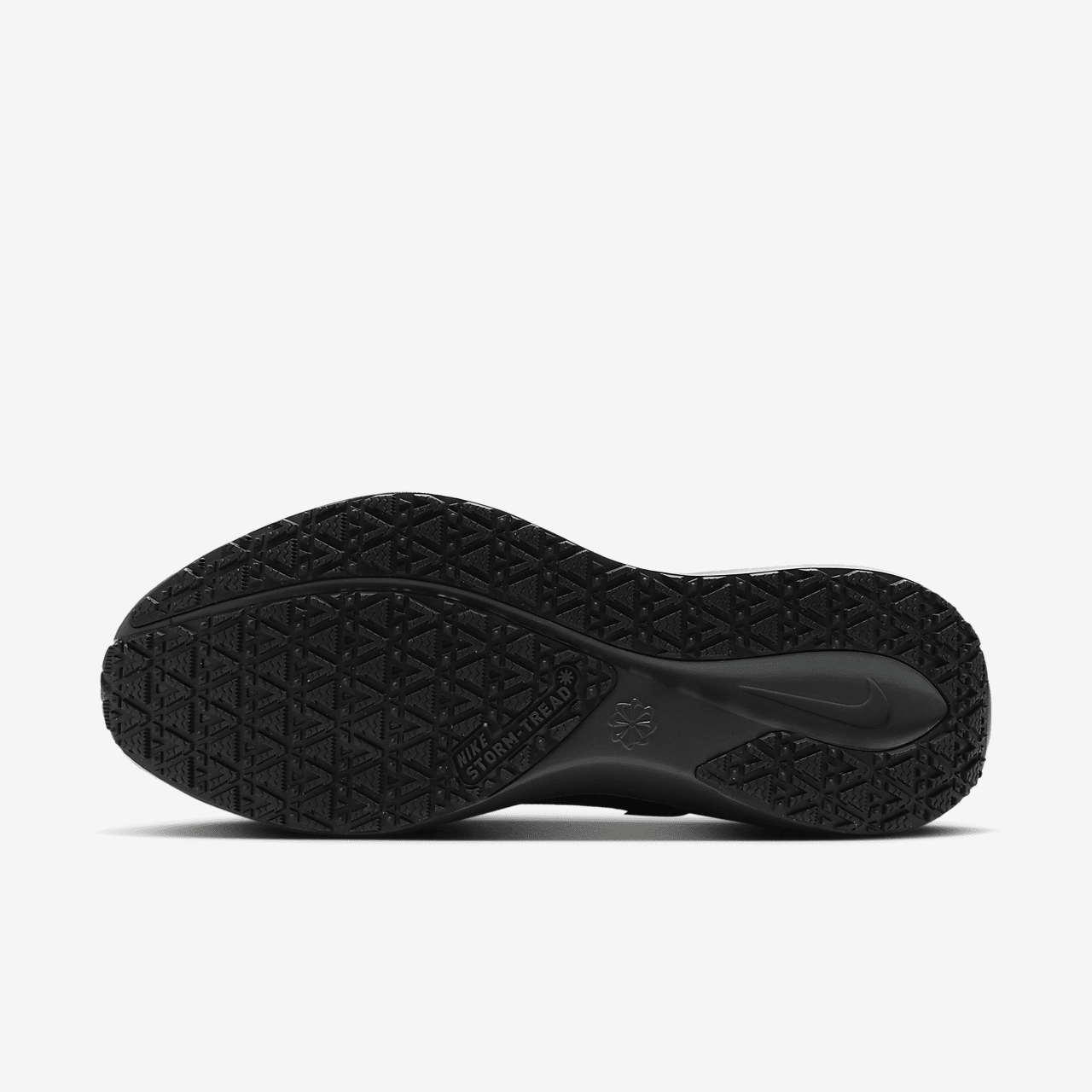 Nike Pegasus sneaker Zwart/Anthracite/Zwart