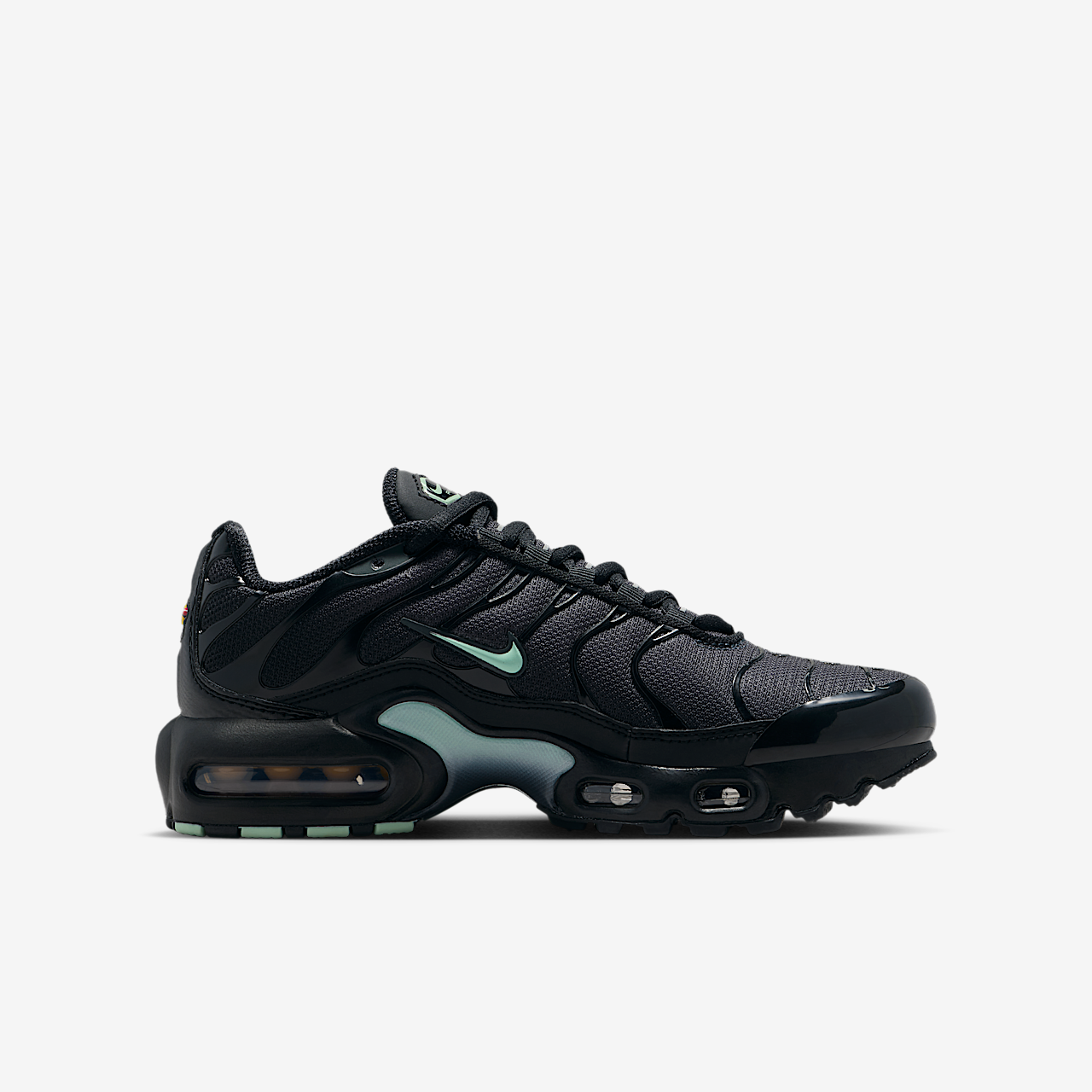 Nike Air Max Plus sneaker Zwart/Dark Smoke Grey/Mint Foam