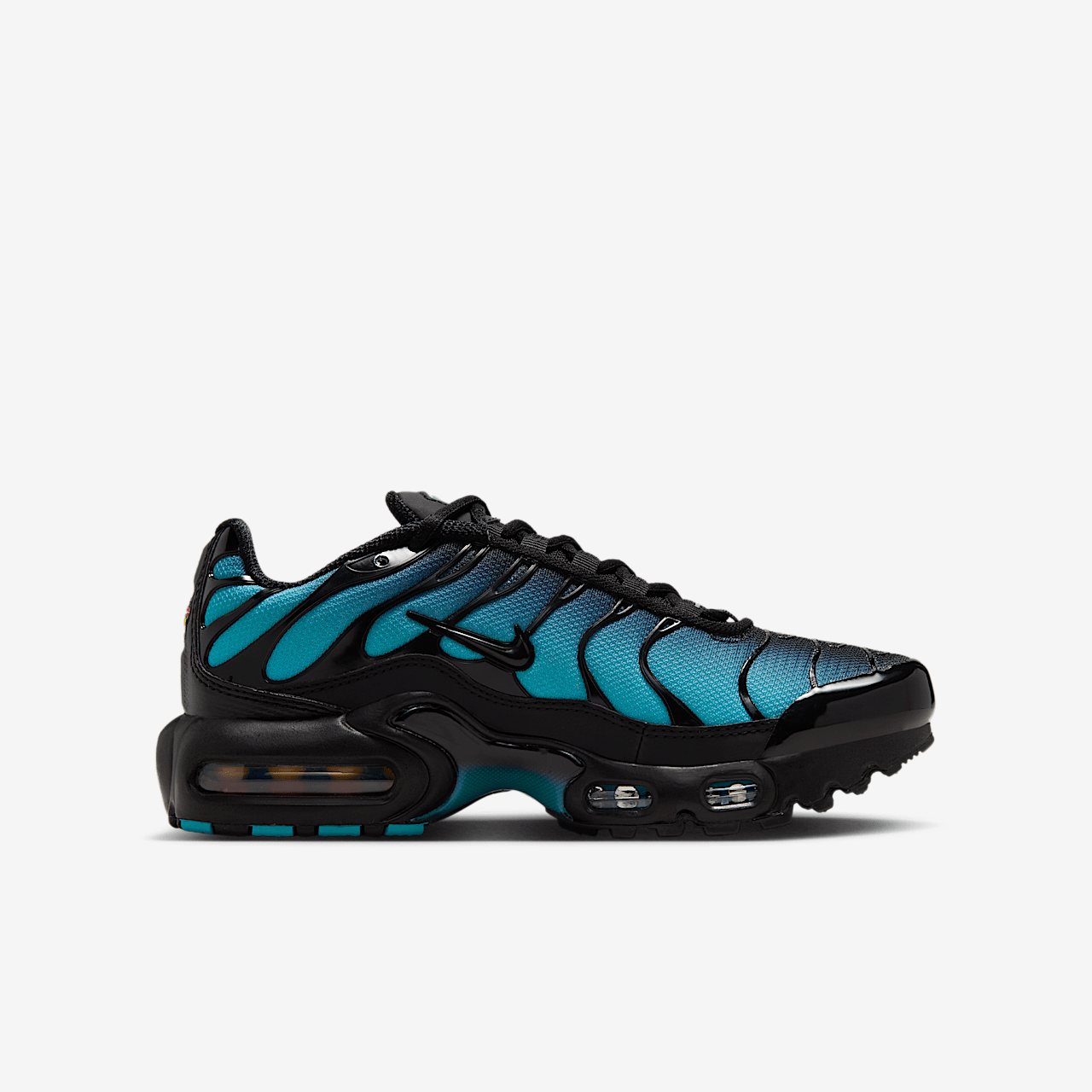 Nike Air Max Plus sneaker Zwart/Dusty Cactus/Metallic Silver/Zwart