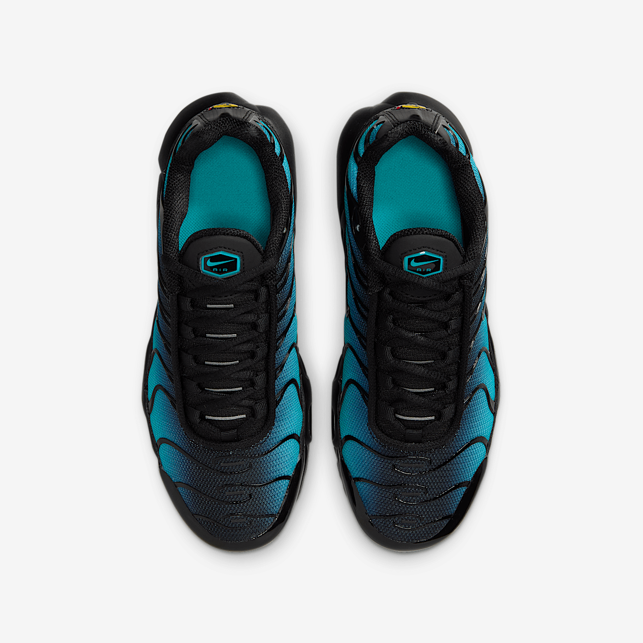 Nike Air Max Plus sneaker Zwart/Dusty Cactus/Metallic Silver/Zwart