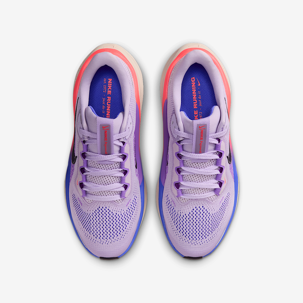 Nike Pegasus sneaker Violet Mist/Bright Violet/Sapphire/Purple Dynasty