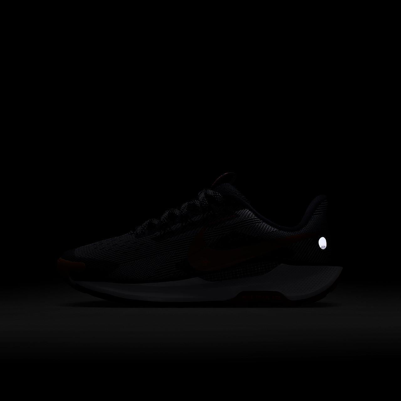 Nike Pegasus sneaker Zwart/Fir/College Grey/Desert Ochre