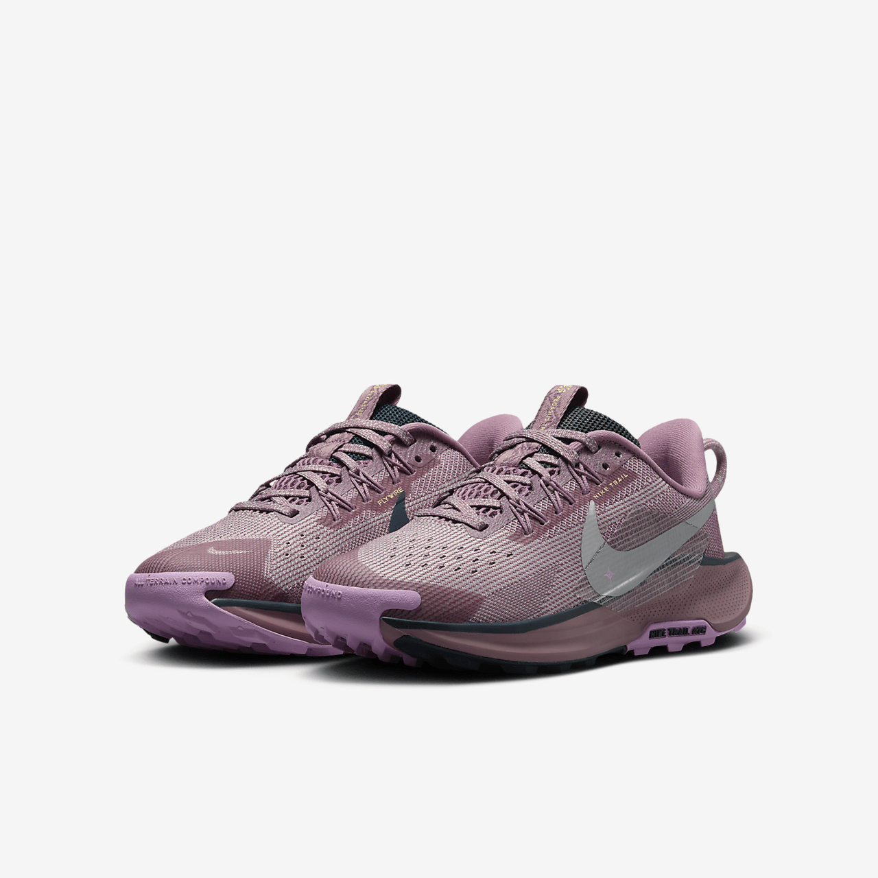 Nike Pegasus sneaker Plum Dust/Platinum Violet/Beyond Pink/Metallic Silver