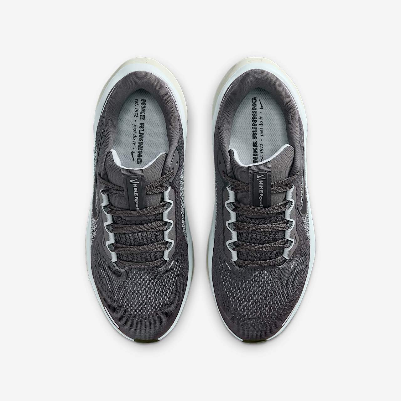Nike Pegasus sneaker Medium Ash/Pure Platinum/Pale Ivory/Zwart