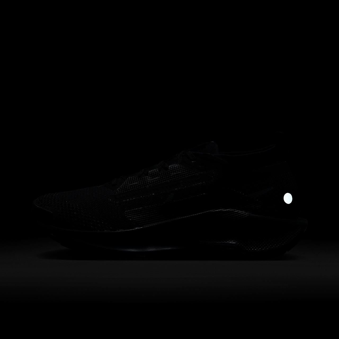 Nike Pegasus sneaker Zwart/Anthracite/Zwart