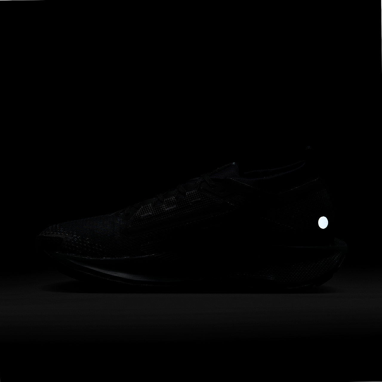 Nike Pegasus sneaker Zwart/Anthracite/Zwart