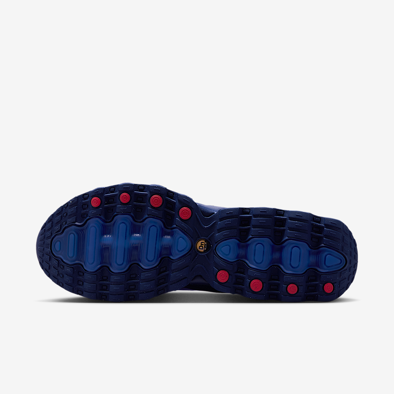 Nike Air Max DN sneaker Racer Blue/Loyal Blue/Zwart/Racer Blue