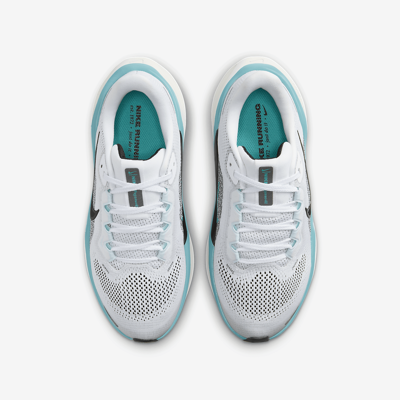 Nike Pegasus sneaker Wit/Dusty Cactus/Glacier Blue/Zwart