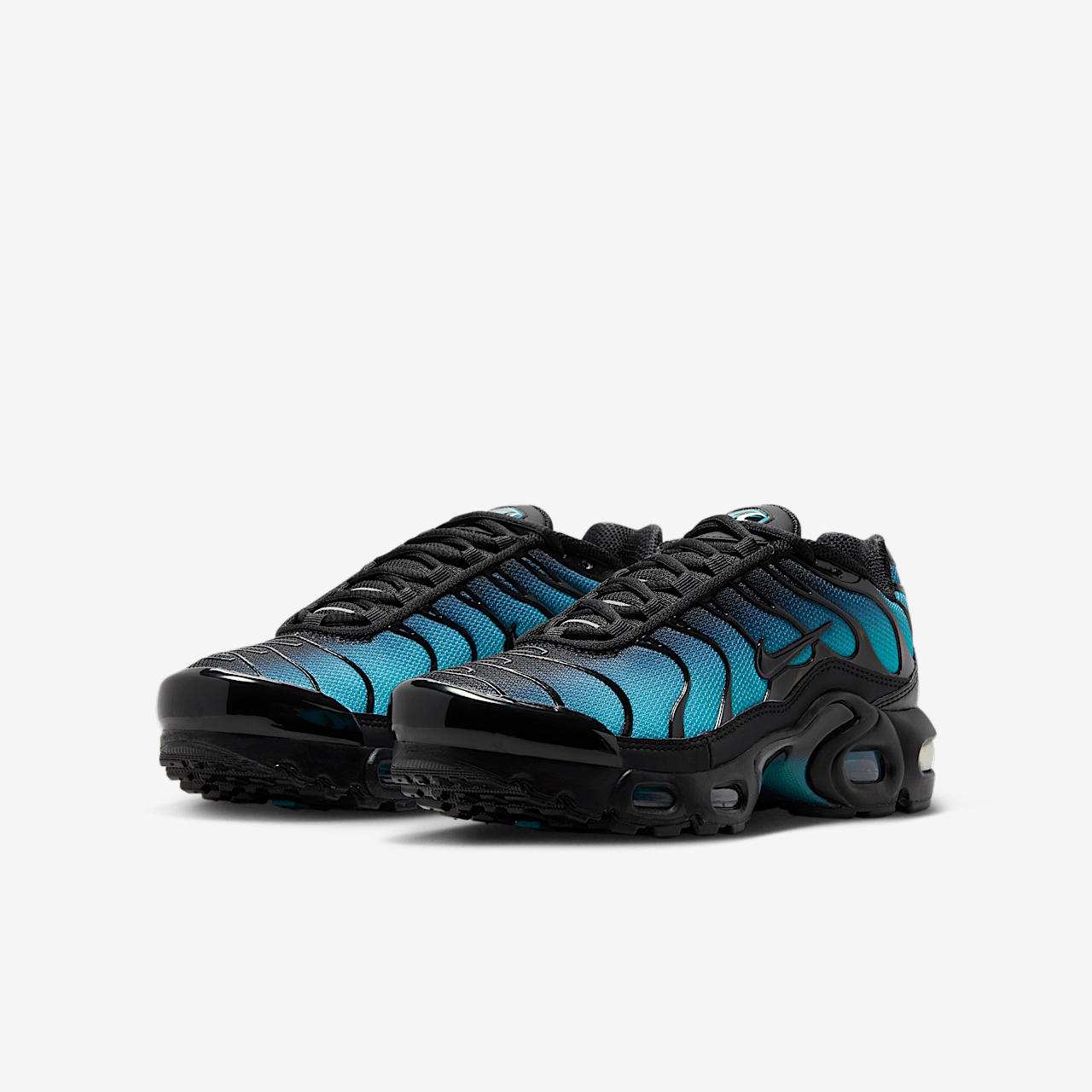 Nike Air Max Plus sneaker Zwart/Dusty Cactus/Metallic Silver/Zwart