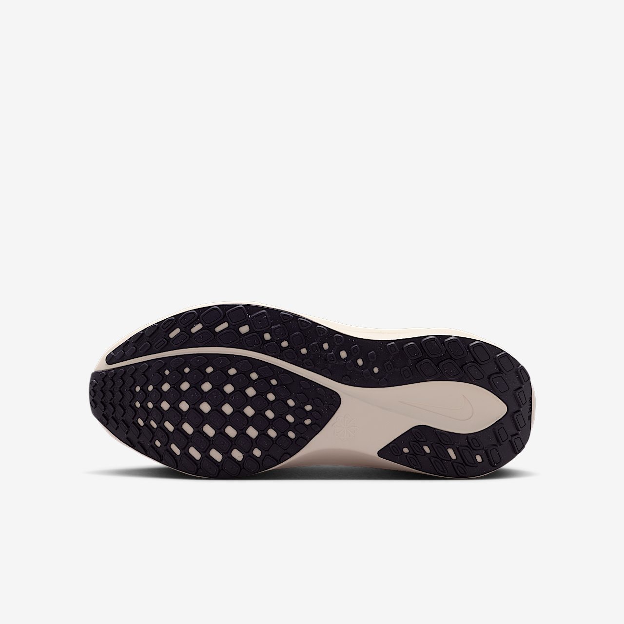 Nike Pegasus sneaker Violet Mist/Bright Violet/Sapphire/Purple Dynasty