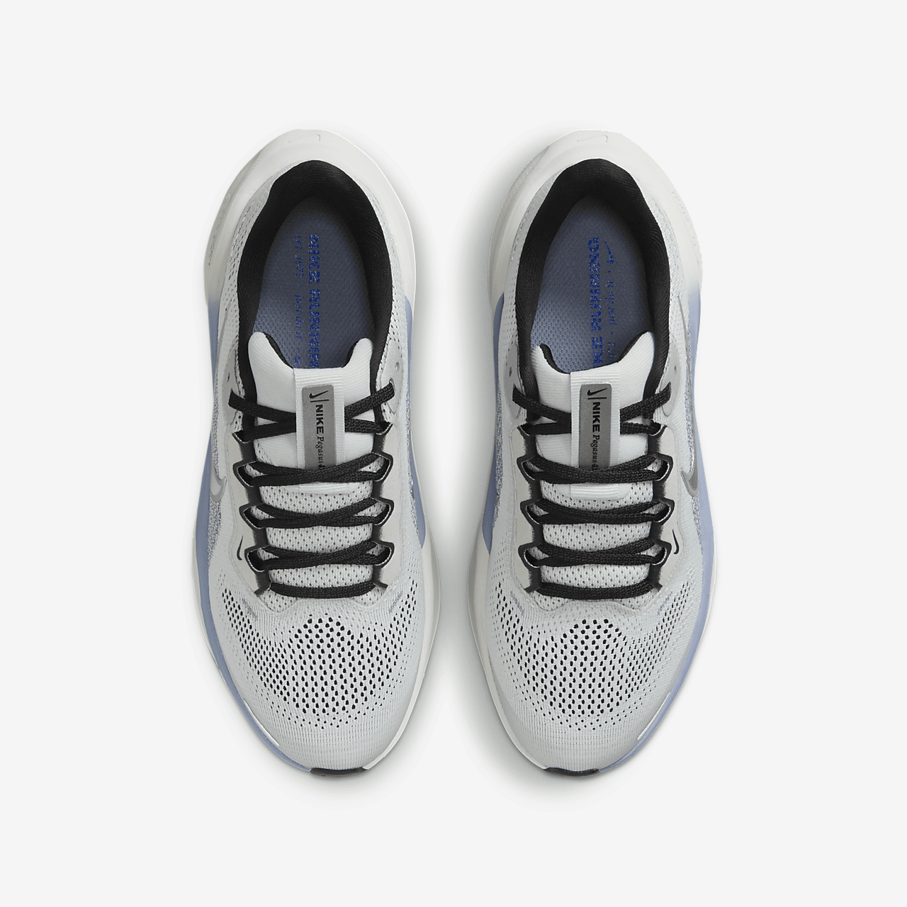 Nike Pegasus sneaker Photon Dust/Ashen Slate/Zwart/Metallic Silver