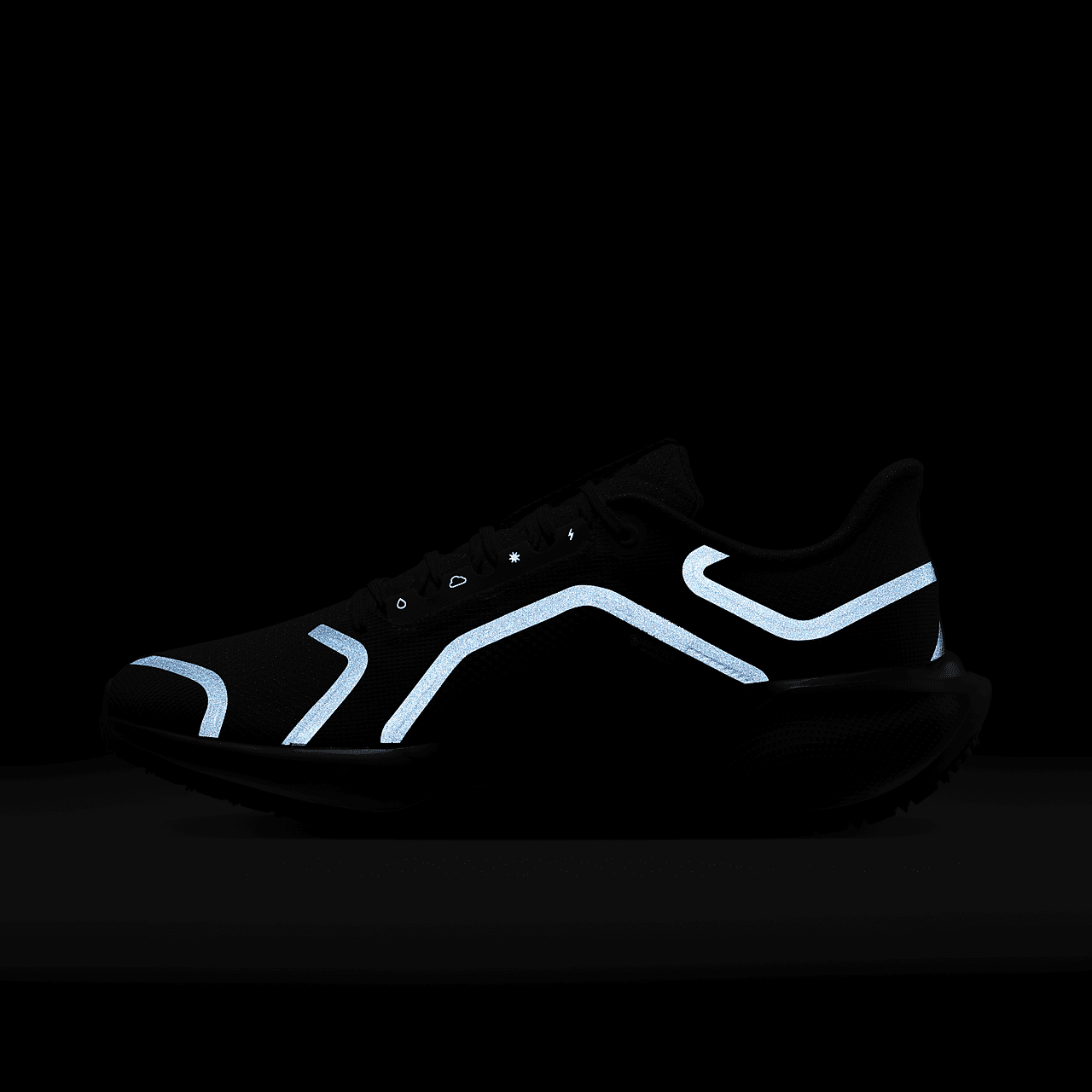 Nike Pegasus sneaker Zwart/Anthracite/Zwart