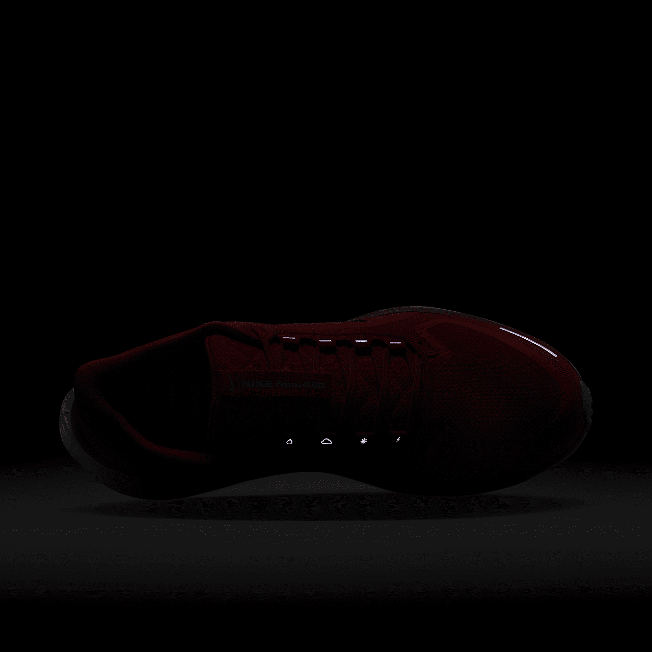 Nike Pegasus sneaker Picante Red/Bright Crimson/Vivid Grape/Green Frost