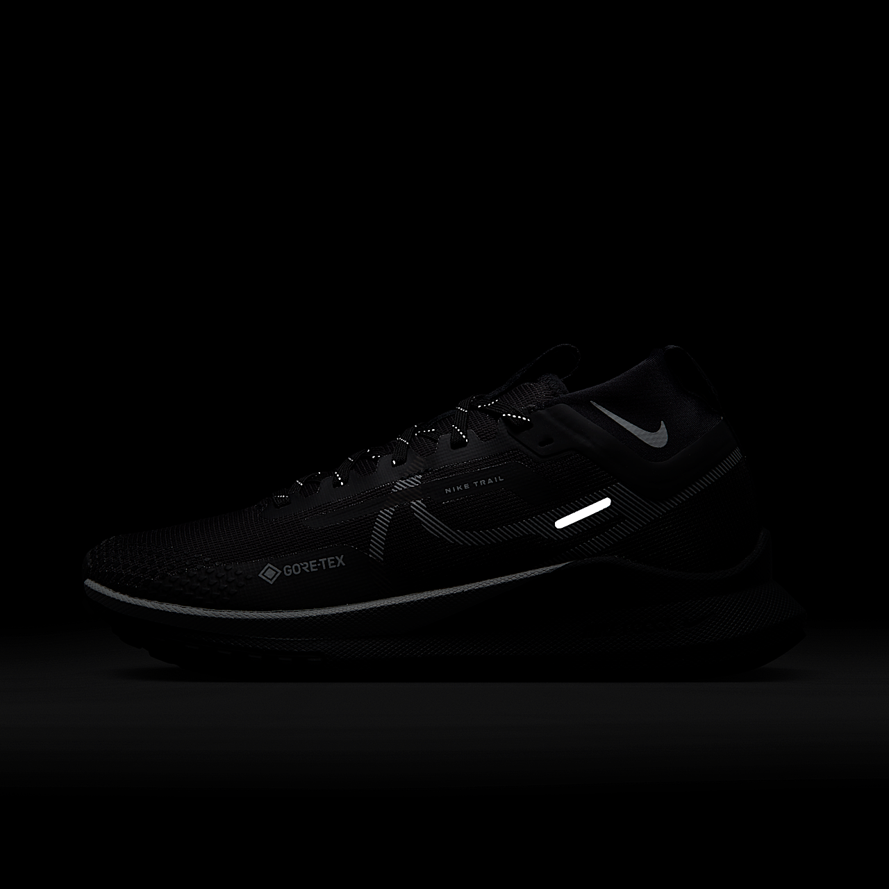 Nike Pegasus sneaker Zwart/Reflect Silver/Wolf Grey