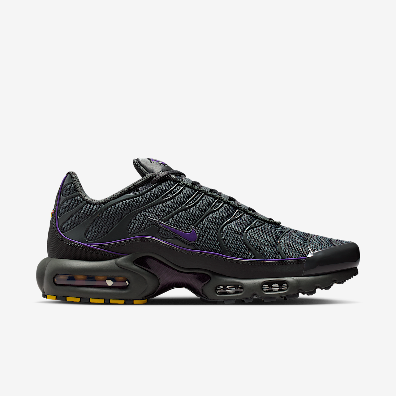 Nike Air Max Plus sneaker Iron Grey/Iron Grey/Wild Grape