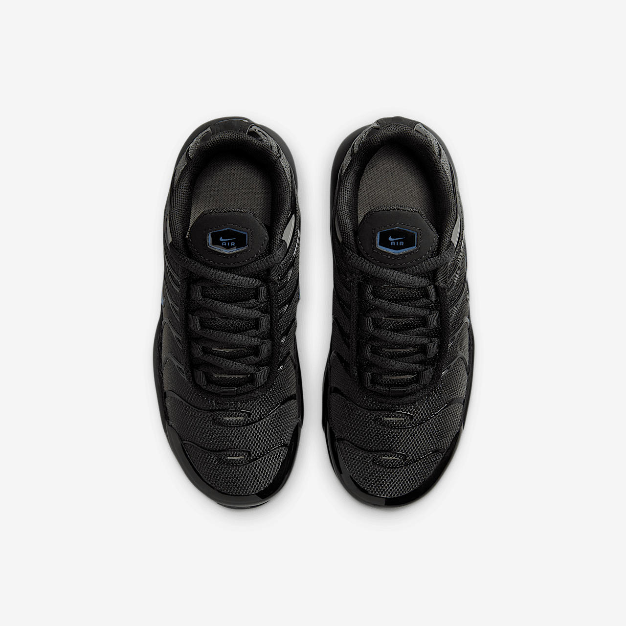 Nike Air Max Plus sneaker Zwart/Cave Stone/Diffused Blue