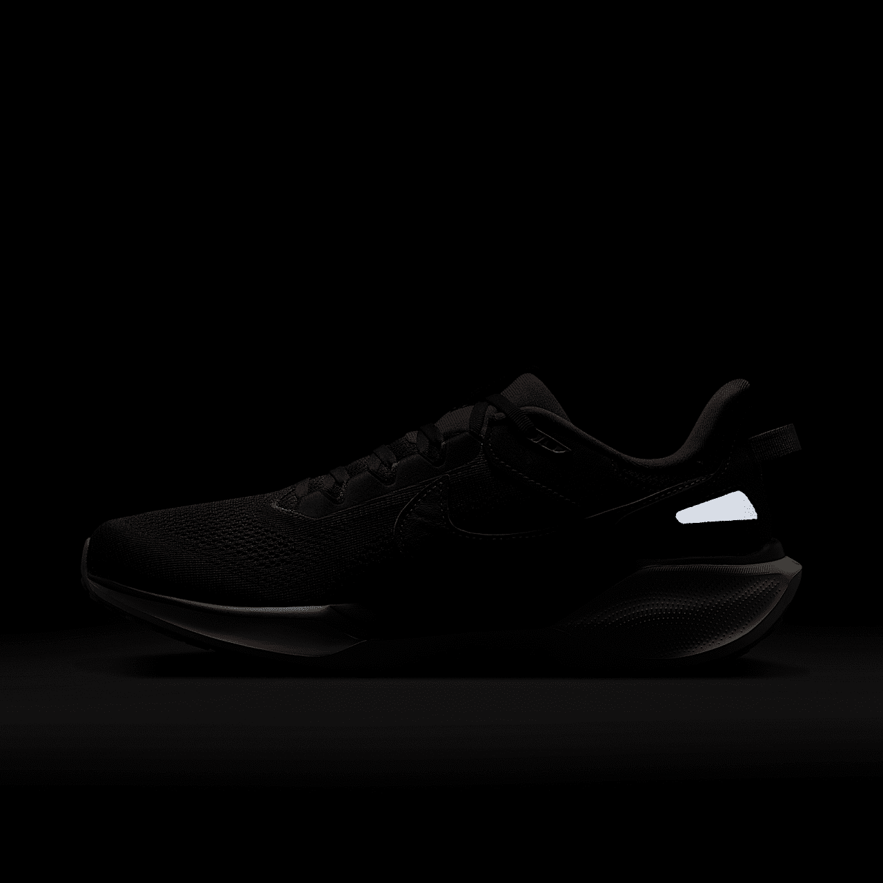 Nike Pegasus sneaker Black Tea/Dark Obsidian/Violet Ore