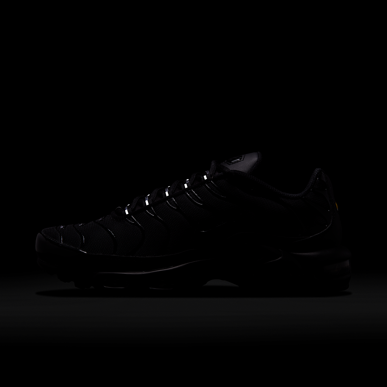 Nike Air Max Plus sneaker Zwart/Zwart/Zwart